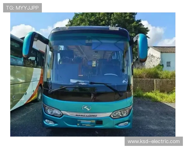 拉普拉塔大巴遭袭总监手臂受伤